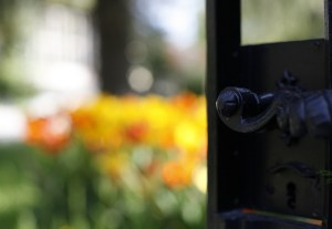 8708856019_f3be2353a4_z